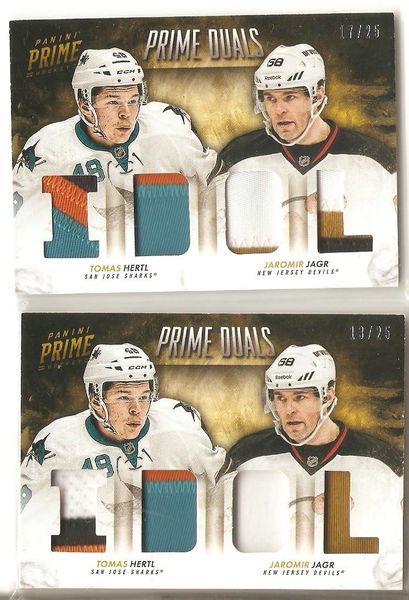 jagr-hertl.jpg